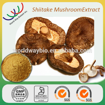 Lower serum cholesterol HACCP KOSHER FDA cGMP 30% pure lentinan shiitake polysaccharides shiitake extract shiitake dried powder