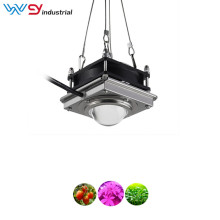 Grow light hydroponic full spectrum cob led grow