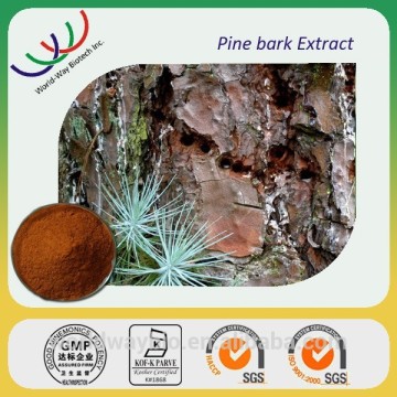 Free samples proanthocyanidins,pure Procyanidins powder , high quality pine bark extract Procyanidins 95%