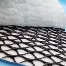 HDPE Mesh 3D Composite Drainage Geo Net Geonet Price Search