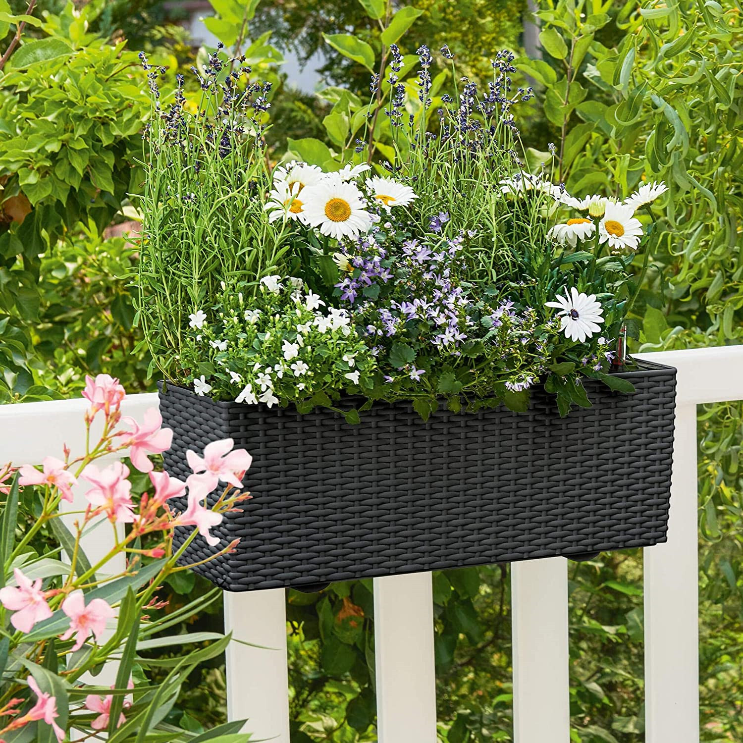 Planter Box