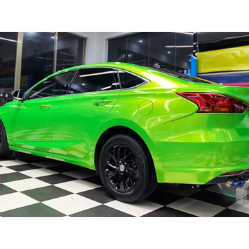 Wrap Vinyl Green Fantasy Miotalach Fantasy