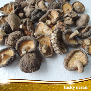 4-5cm dried mushroom cut foot  with stem