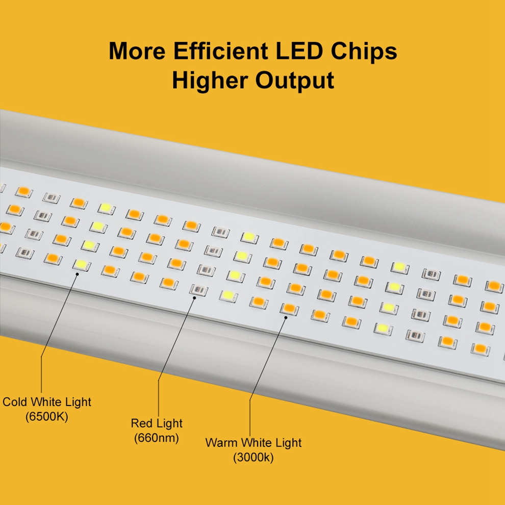 4 Best Led Grow Light