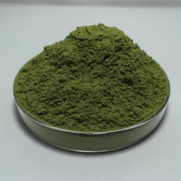 Organic Oat grass instant powder