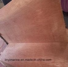 18mm Okoume Plywood with Poplar Core for Furniture