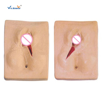 Vulva Suturing Training Simulator