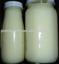 Garlic Paste/Spread Seller