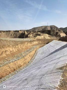 Rock Fall Protection netting