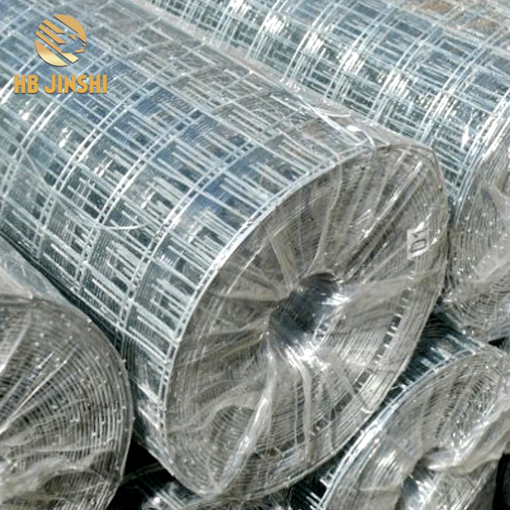 Galvanized Welded Wire Mesh