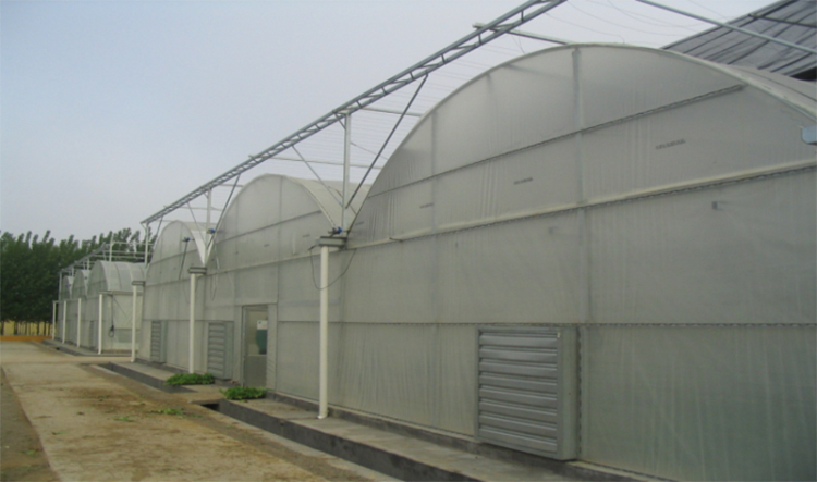 Saw tooth roof vent multi span plastic greenhouse