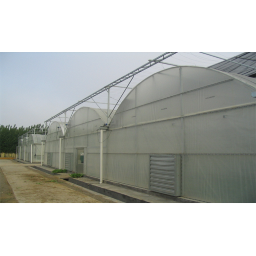 Serrated Multi-Span Plastic Film Greenhouse for Vegetables