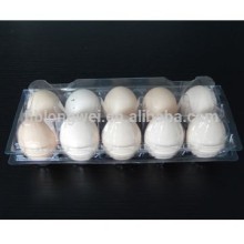 plastic egg trays 10 hole