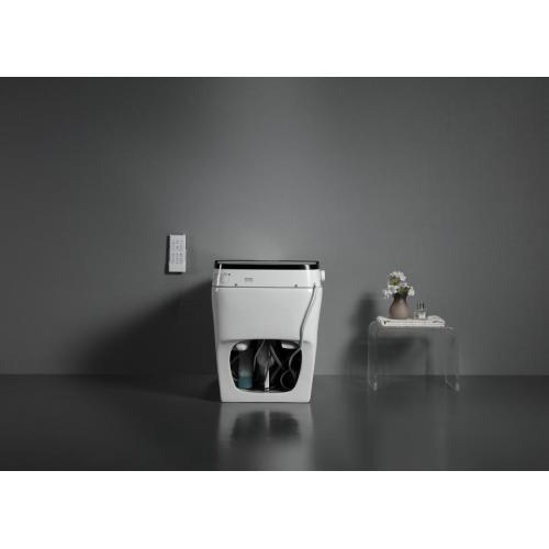 Sanitary Ware Floor Mounted One-Piece Intelligent Toilet