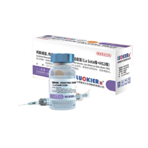 Vaccin viu ND/IB La Sota + Tulpina H52