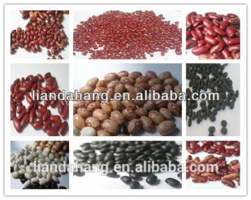 Black Kidney Beans