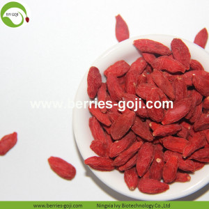 Factory Supply natuurlijke fruitproducten Bulk Goji bessen