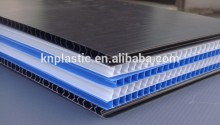 PP hollow Sheet