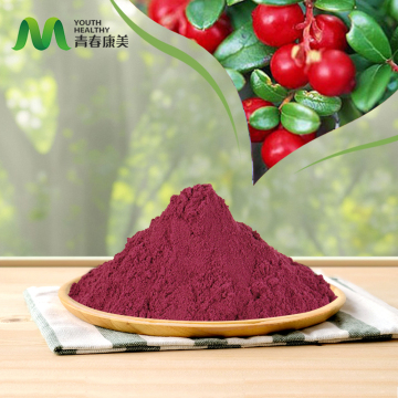 Cranberry Extract: A Powerful Immune Enhancer