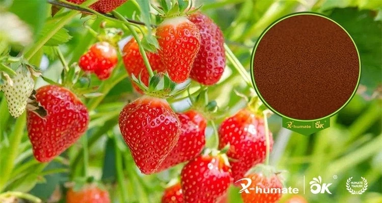 X-Humate Biochemical Grade Fulvic Acid 80%