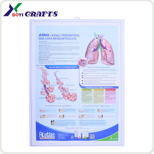 2014 Topsale 3D Embossed Medical Chart