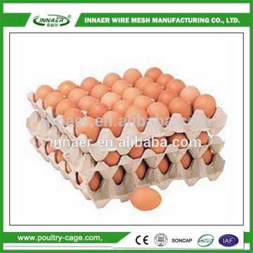 Cheap wholesale machines produce eggs tray