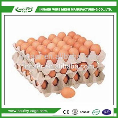 Wholesale products China eggs carton tray production line