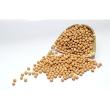 Factory Direct Supply Soybean Extract 40% Soy Isoflavones