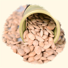 Snow White Shine Skin Pumpkin Seeds With Shell