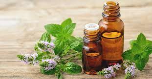 Peppermint Oil: Uses, Benefits, and Side Effects