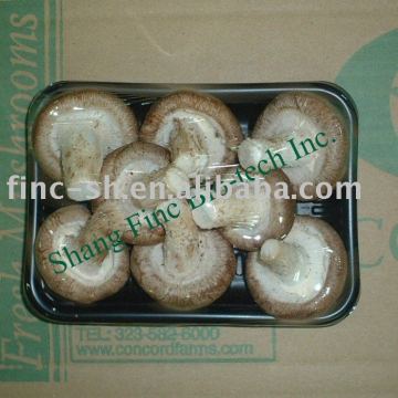 shiitake fresh