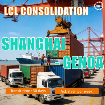 Shanghai to Genoa Italy LCL Shipping Service