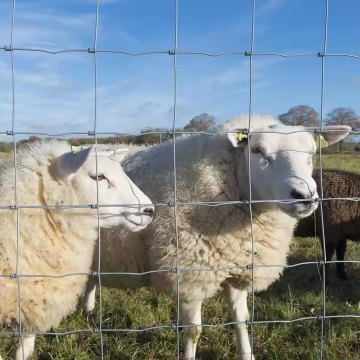 Strong Mesh Netting for Farm Use