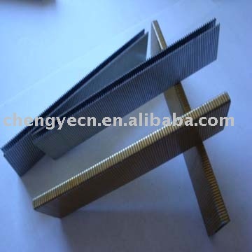 divergent galvanized staples