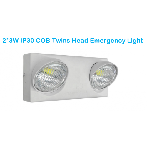 Hight Quality 2 * 3W Twins Spot noodlamp