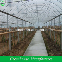 china horticulture greenhouse