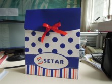 Customized Paper bag/Packing Bag/die cut handle bags