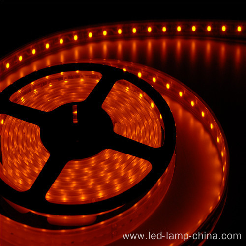 Outdoor Building Decoration SMD3528 LED Strip Light