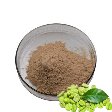 Supply Lose Weight Chlorogenic Acid Powder
