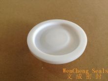 Solenoid Actuated Metering Pumps Part