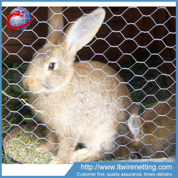 1/2 hexagonal wire mesh Rabbit Farming Cage