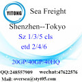 Shenzhen Port Seefracht Versand nach Tokio