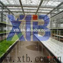 Flower and Vegetable Growing Greenhouse