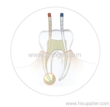 Dental Gutta Percha Points?