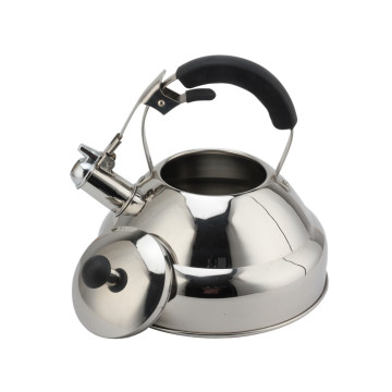Popular coating stainless steel whistling tea kettle