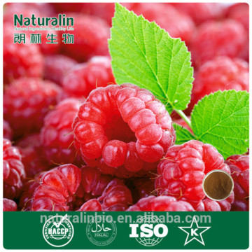 100% organic raspberry ketone extract for bodybuilding supplement