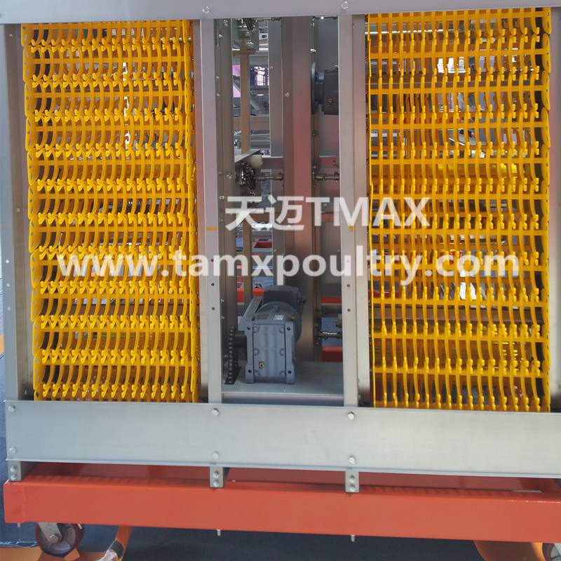 Automatic Egg Collection