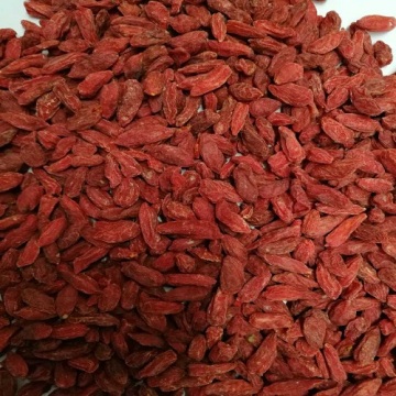 350Grains/50g Goji Berry Wolfberry