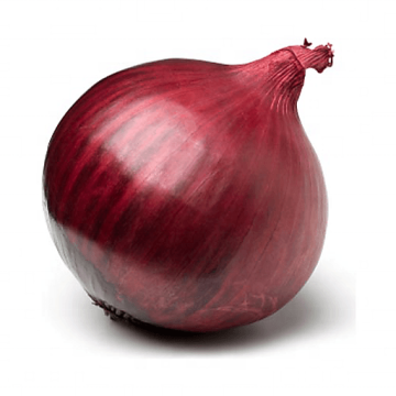 Chinese New season red onion 5-7cm / China fresh onion import export