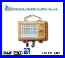 Audible and Visual Alarm